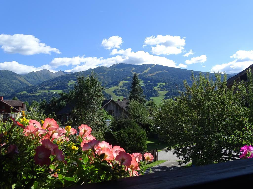 Ferienwohnung Schoenauer Haus im Ennstal Buitenkant foto