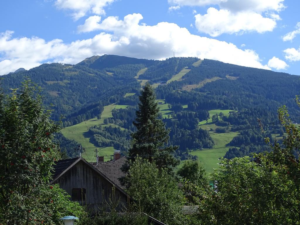 Ferienwohnung Schoenauer Haus im Ennstal Buitenkant foto