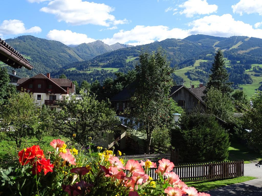 Ferienwohnung Schoenauer Haus im Ennstal Buitenkant foto